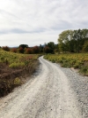 Herfstblaren